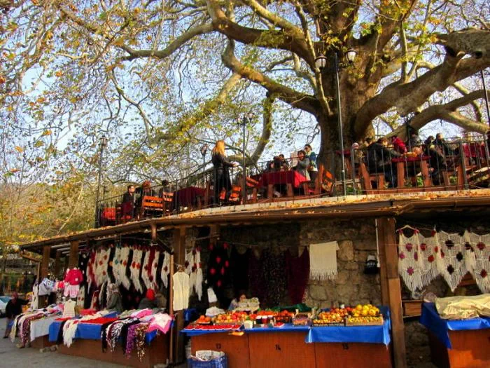 Bursa İnkaya Tarihi Çınarı altında açık hava çay bahçesi