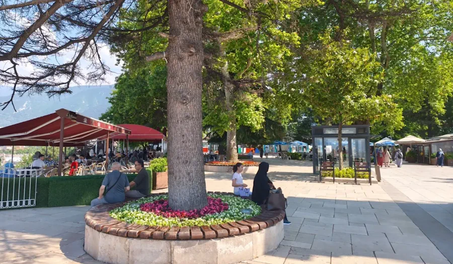 Bursa Tophane çay bahçesi, asırlık çınar ağacı ve seyir terası